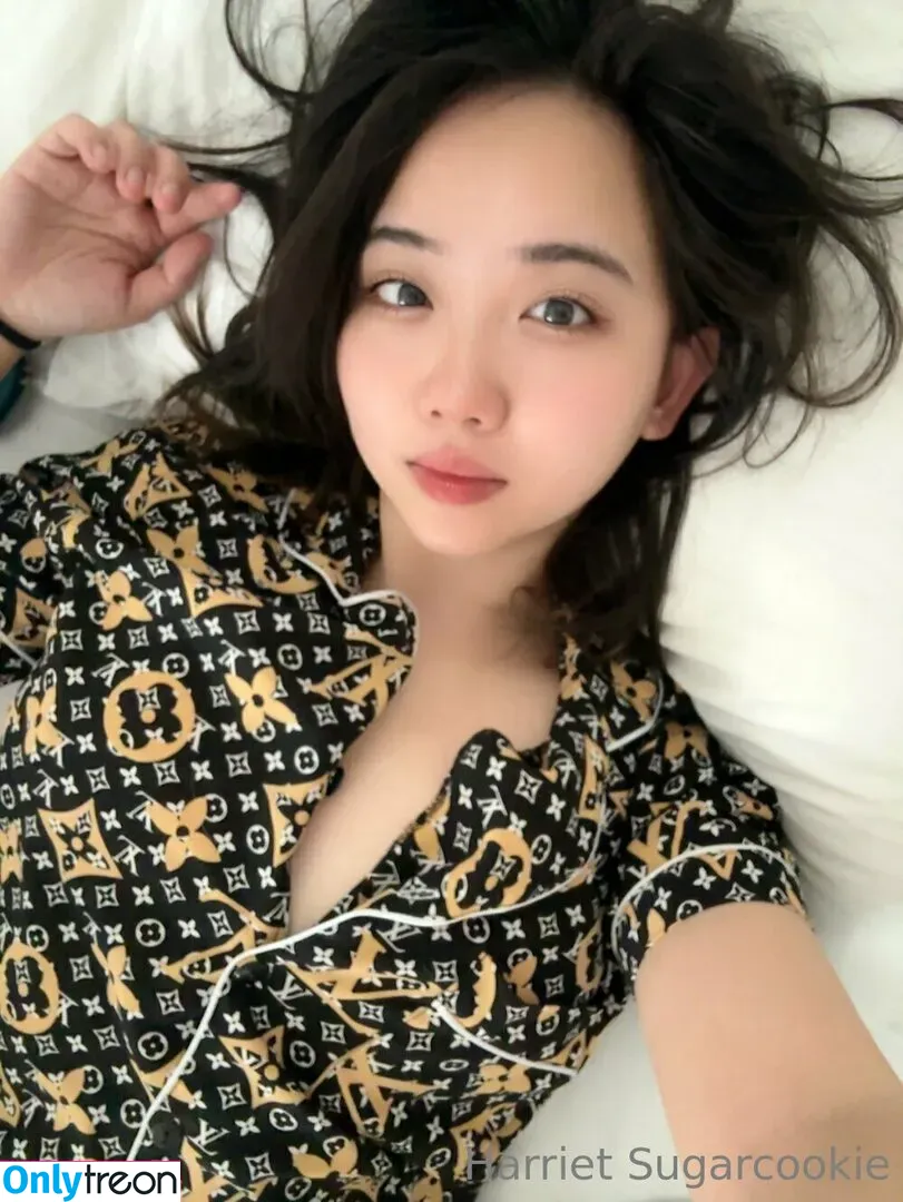 harrietsugarcookie nude photo #0213 (hazsugarcookie / hsugarcookie)