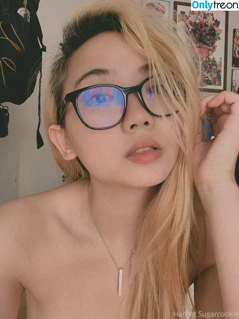 harrietsugarcookie nude photo #0244 (hazsugarcookie / hsugarcookie)