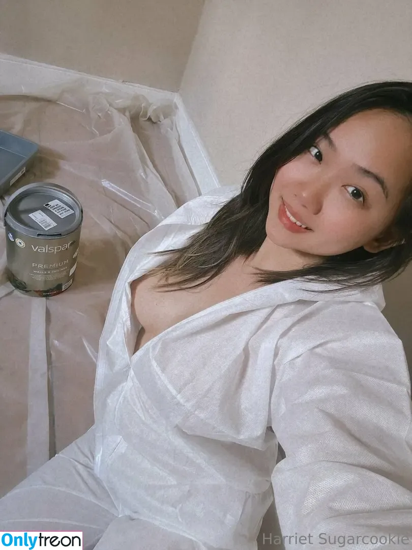 harrietsugarcookie nude photo #0287 (hazsugarcookie / hsugarcookie)