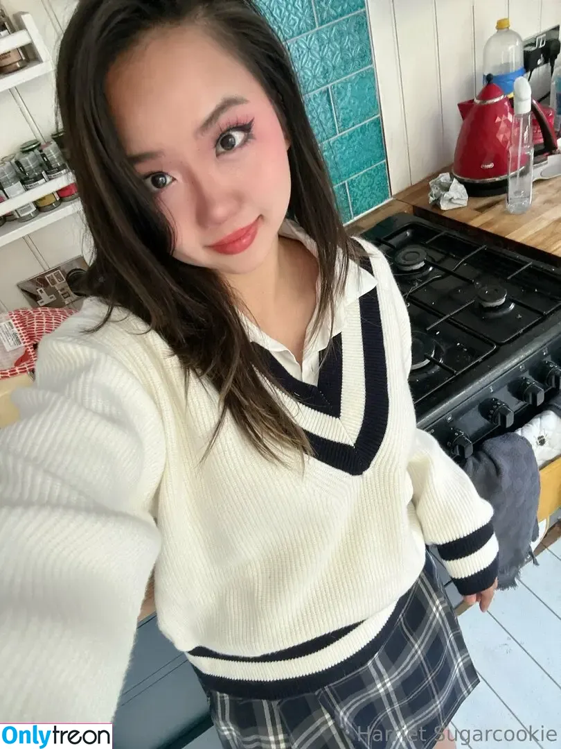 harrietsugarcookie nude photo #0324 (hazsugarcookie / hsugarcookie)