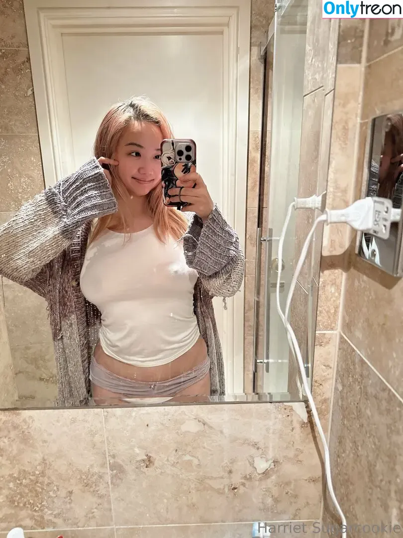 harrietsugarcookie nude photo #0362 (hsugarcookie / iamharrietsugarcookie)