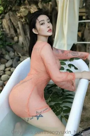 Hitomi Songyuxin / Lindsay78690789 / i_am_hitomi_1994 nude photo #0192