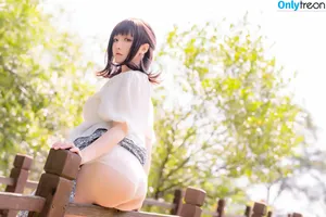 Hoshilily / hoshilily1 / hoshilily_cos / 星之迟迟 nude photo #1077