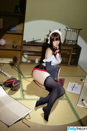 Hoshilily / hoshilily1 / hoshilily_cos / 星之迟迟 nude photo #1142