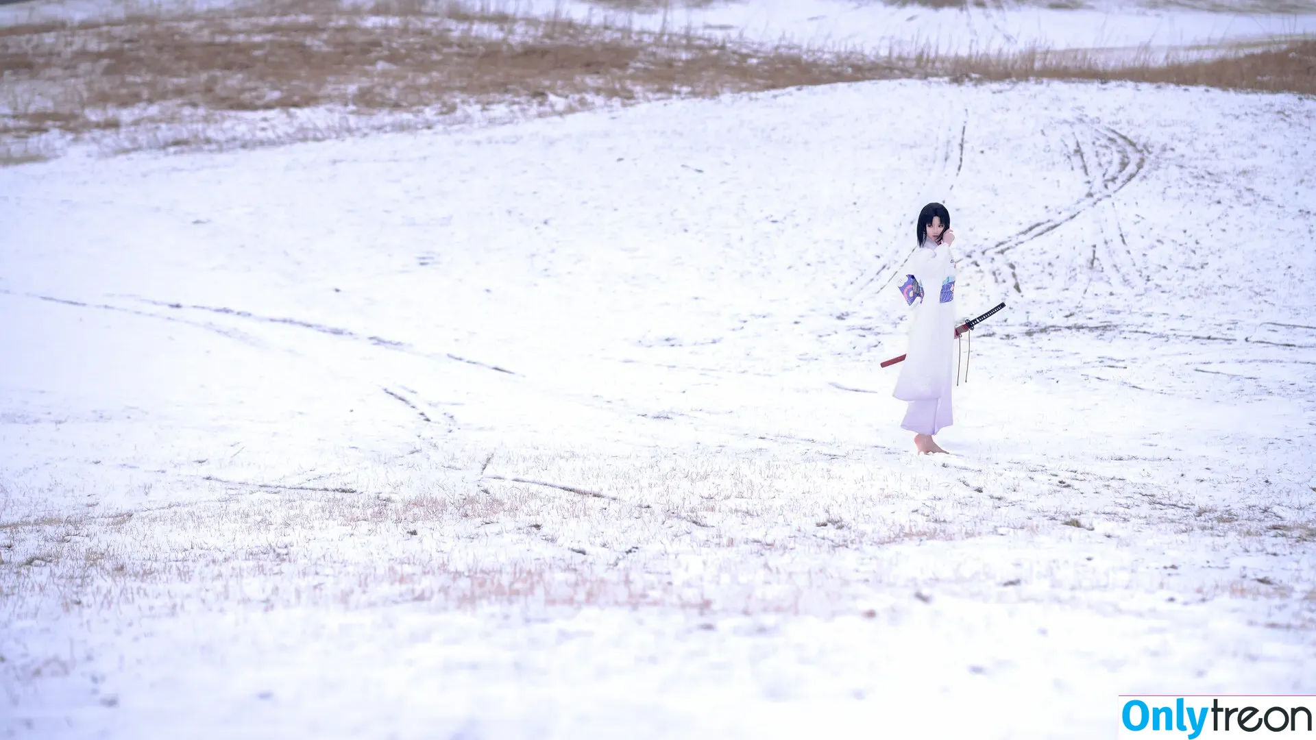 Hoshilily nude photo #1350 (hoshilily1 / hoshilily_cos / 星之迟迟)