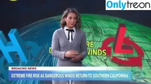 Hot News Weather Babes / iamyanetgarcia / mleroehler nude photo #0096