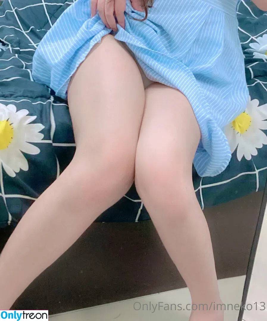 Imneko13 nude photo #0098 (im____neko)