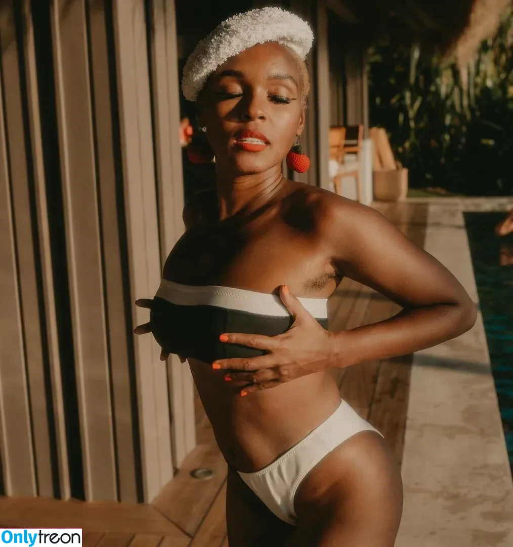 Janelle “Jane” Monáe nude photo #0004 (janellemonae)