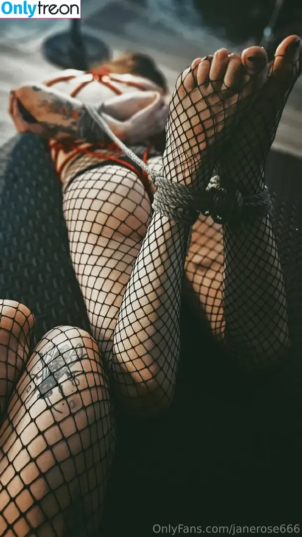 Janerose666 nude photo #0100 (Janerose666)