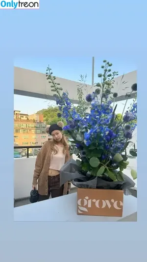 Jennie | BLΛƆKPIИK / Blackpink / jennierubyjane / sheflieshigh nude photo #0139