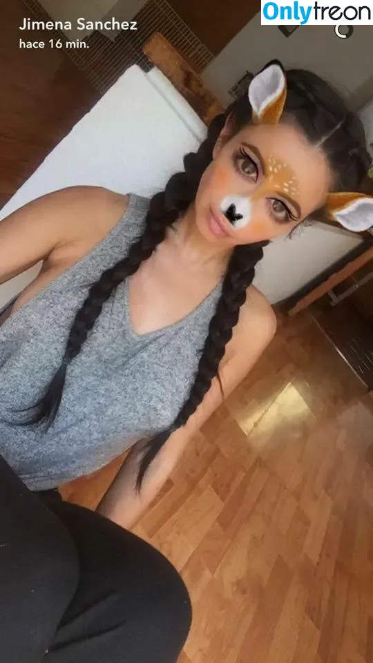 Jimena Sanchez nude photo #1246 (jimenasanchezmx)