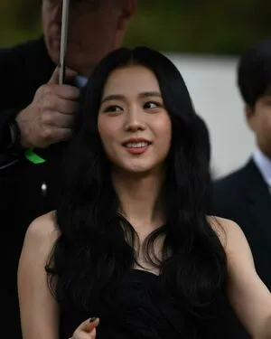 Jisoo / BLACKPINK / qenshizu / sooyaaa__ nude photo #0150