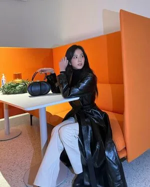 Jisoo / BLACKPINK / qenshizu / sooyaaa__ nude photo #0418
