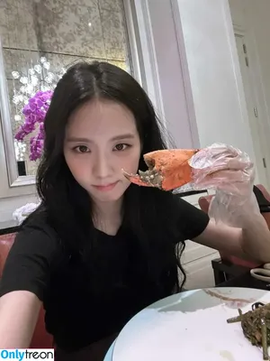Jisoo / BLACKPINK / qenshizu / sooyaaa__ nude photo #0688