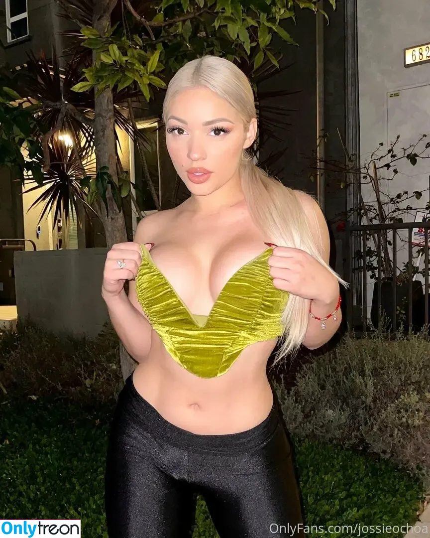 jossieochoa nude photo #0054 (jossieochoa)