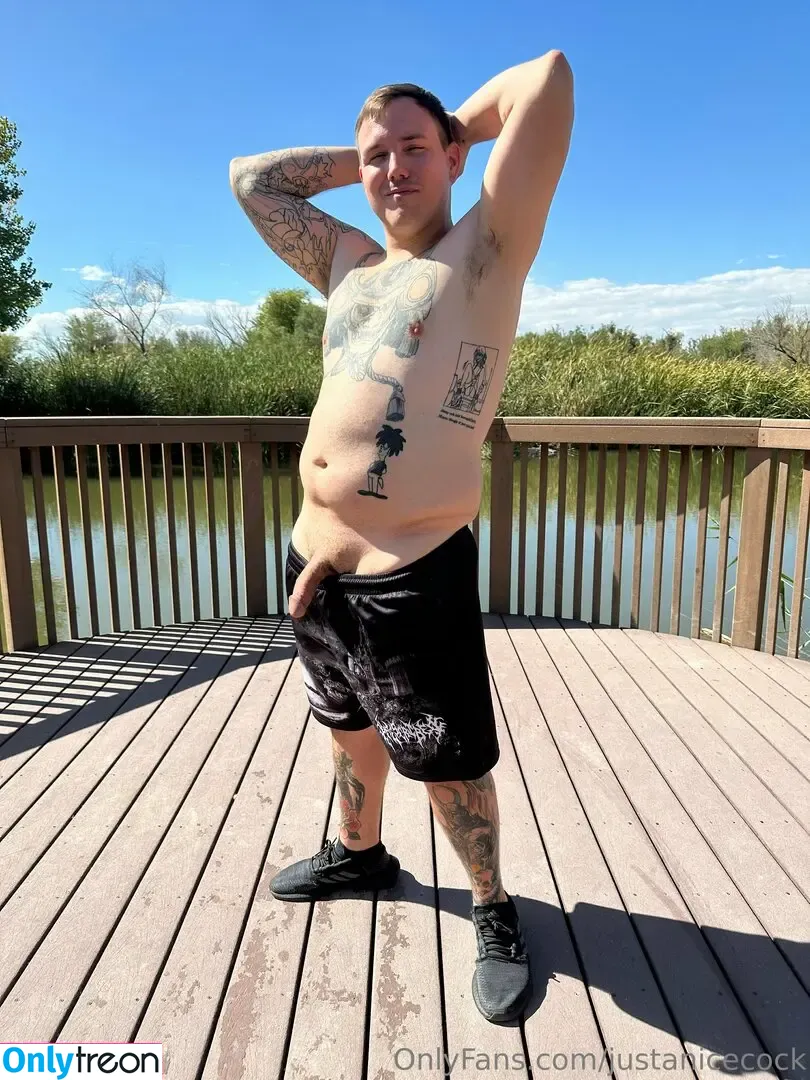 justanicecock nude photo #0028 (justanicecock)