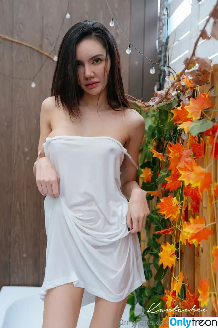 Kantaehee nude photo #1322 (Kantaehee)