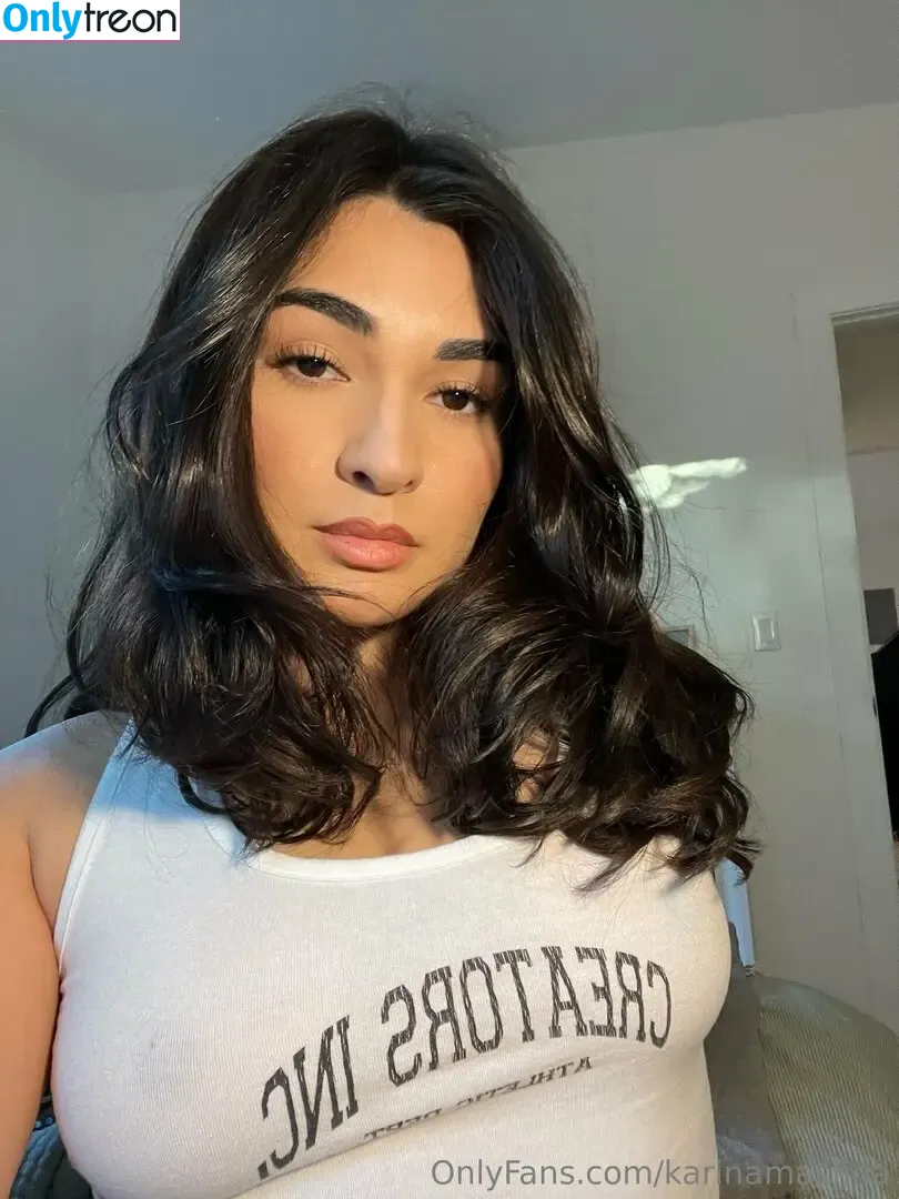 karinamasfina nude photo #0054 (karinamasfina)