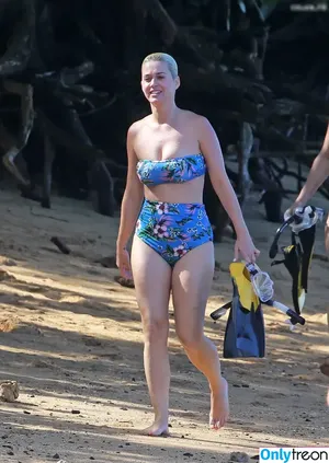 Katy Perry / katyperry nude photo #3491