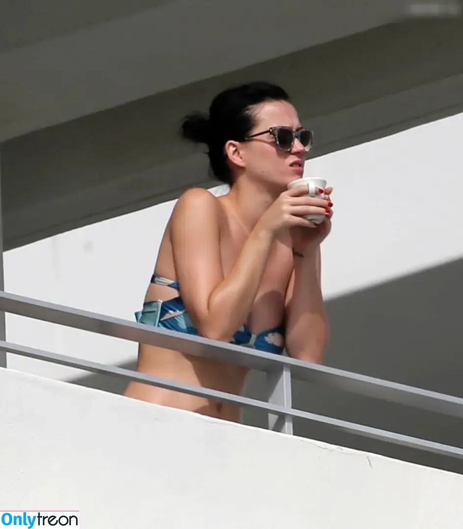 Katy Perry nude photo #3476 (katyperry)
