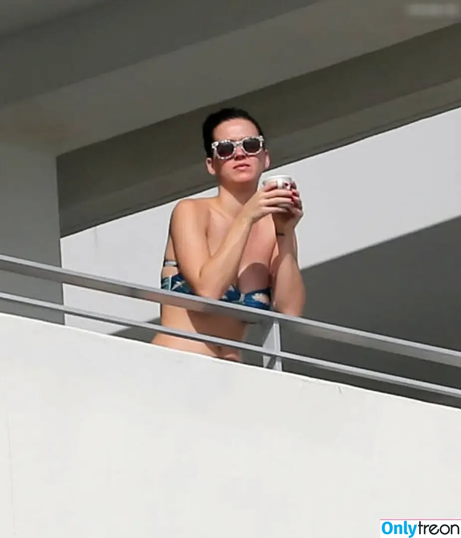 Katy Perry nude photo #3477 (katyperry)