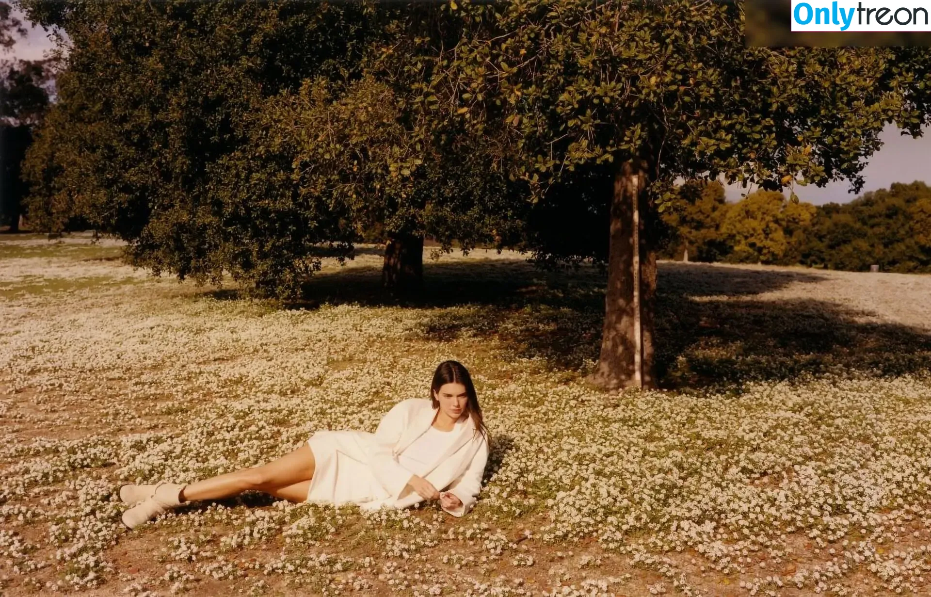 Kendall Jenner nude photo #3313 (KendallJenner)