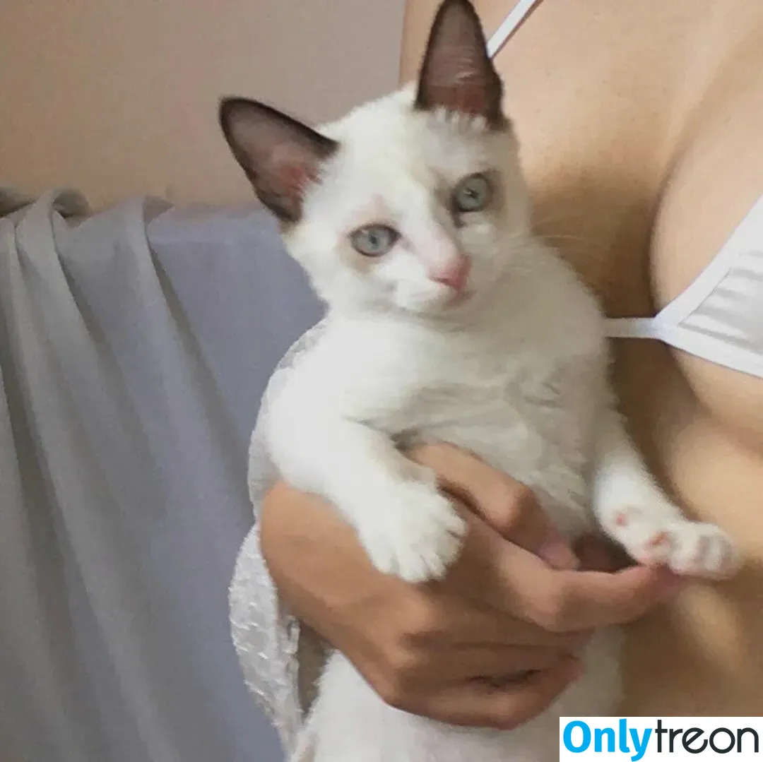 kewlercat nude photo #0036 (Kewlercats / kewlercatsfoto / nhớ)