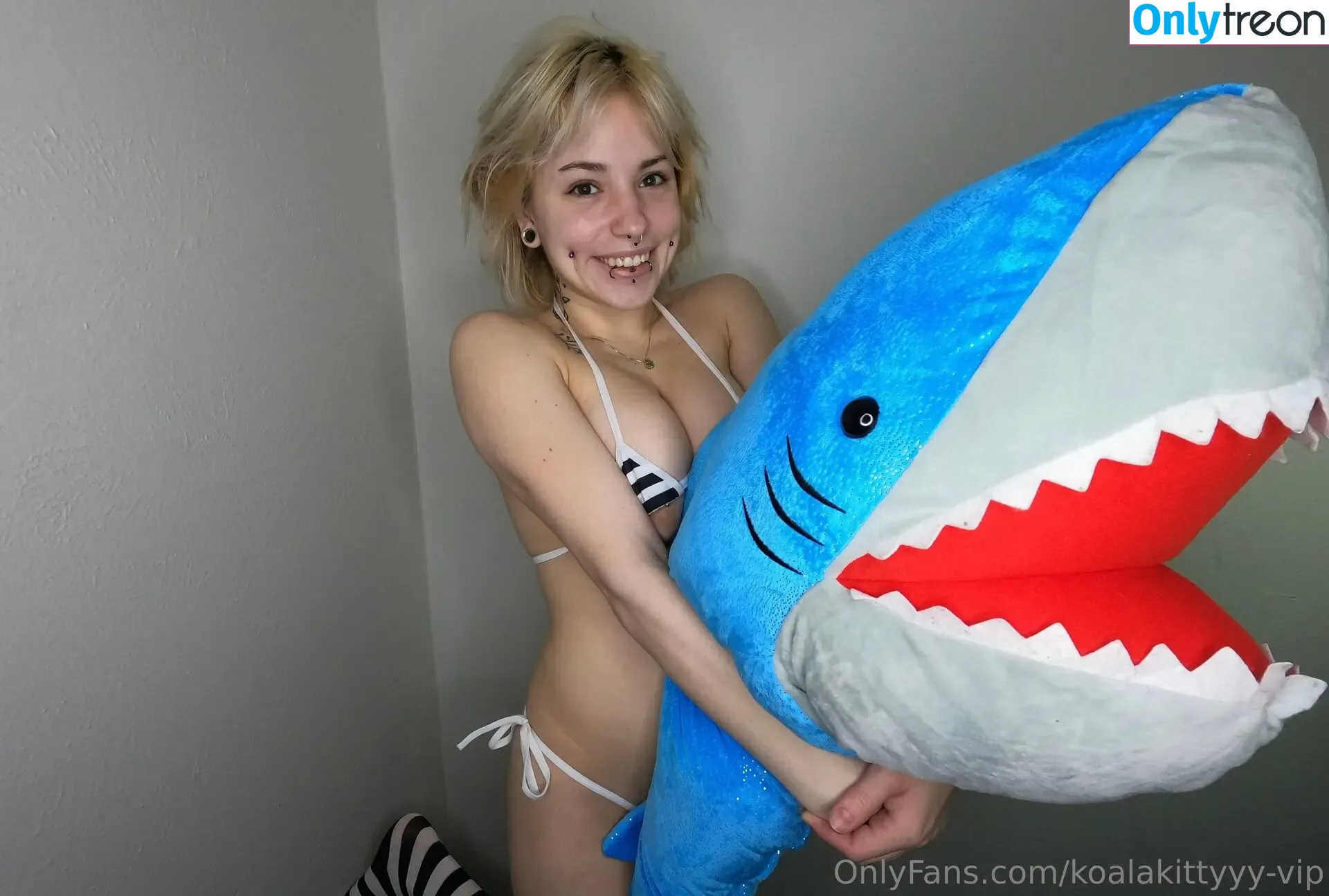 koalakittyyy nude photo #0458 (koalakitttyyy / koalakittyyy-vip)