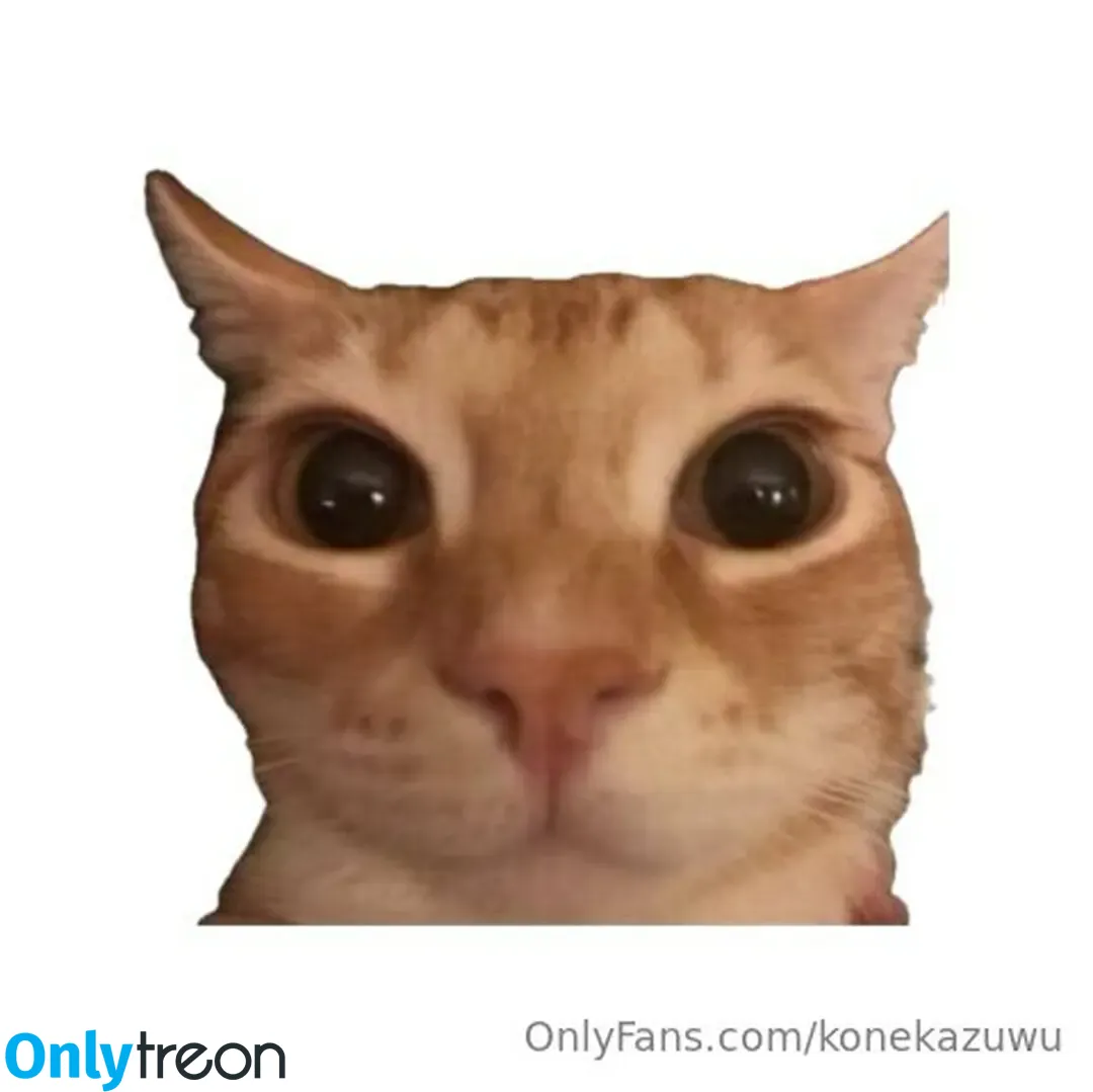Konekazuwu nude photo #0038 (konekazuru)