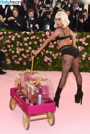 Lady Gaga / ladygaga nude photo #0620