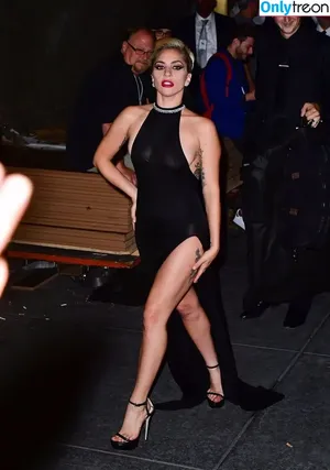 Lady Gaga / ladygaga nude photo #0859