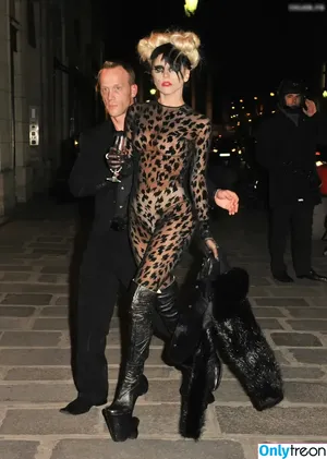 Lady Gaga / ladygaga nude photo #0890
