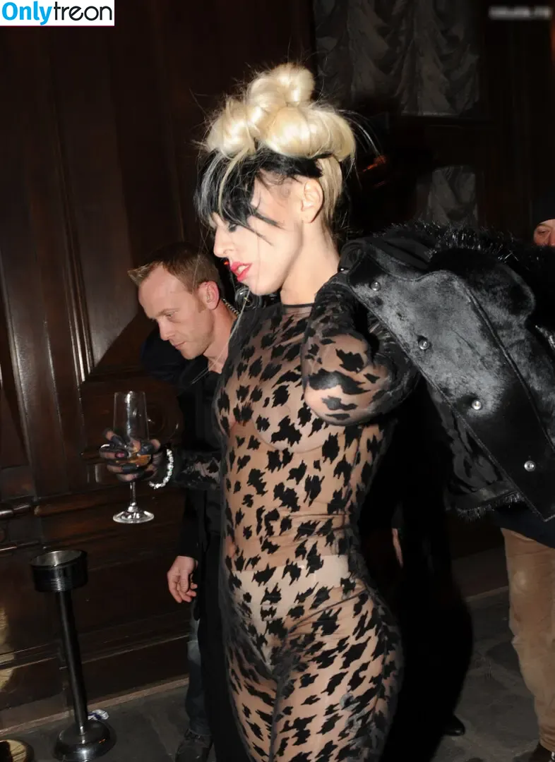 Lady Gaga nude photo #0885 (ladygaga)