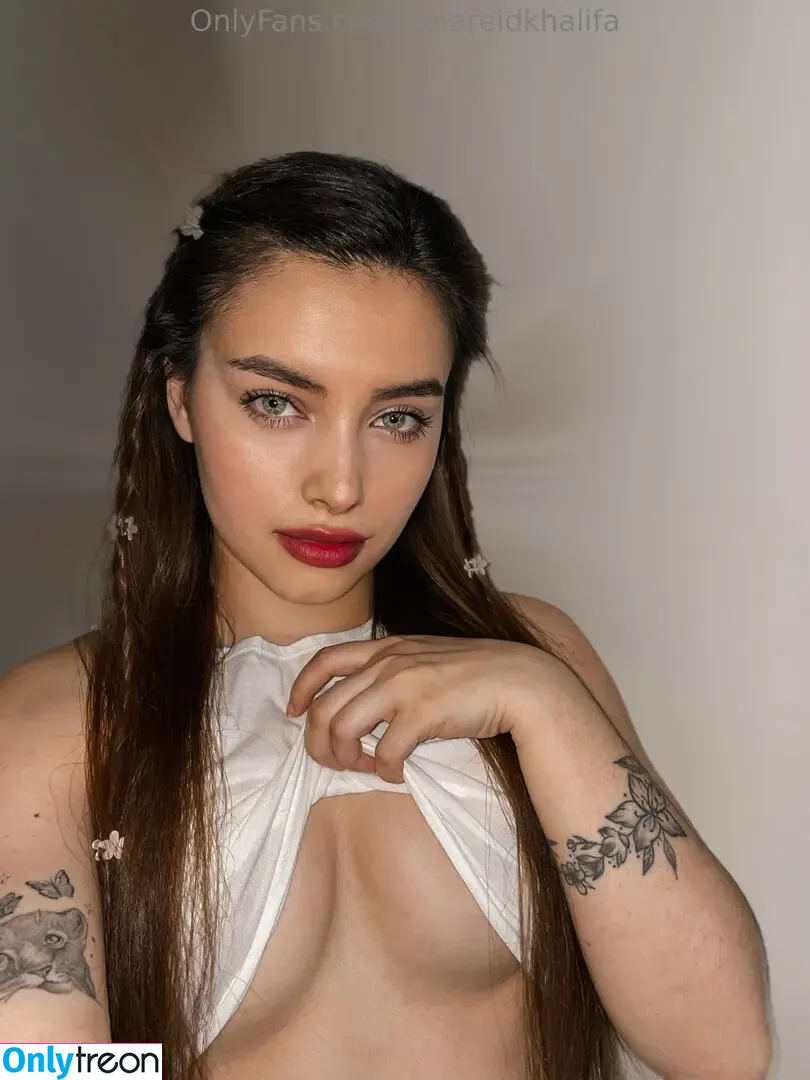 lanareidkhalifa nude photo #0026 (lanareidkhalifa)