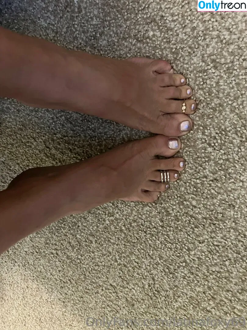 latinafoxy69 nude photo #0048 (fnaffoxy69)