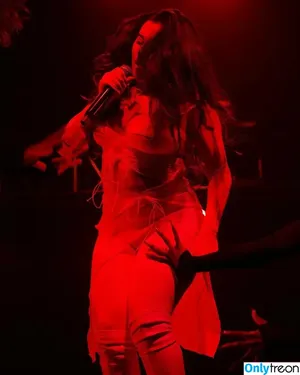 Lauren Jauregui / laurenjauregui nude photo #0378