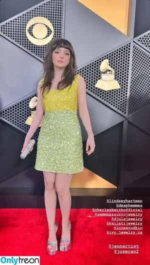 Lauren Mayberry / laurenevemayberry nude photo #0904