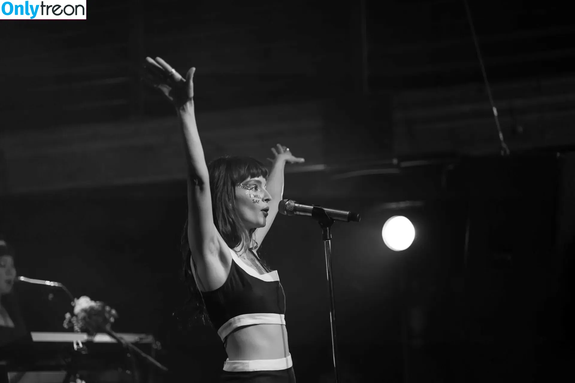 Lauren Mayberry nude photo #0491 (laurenevemayberry)