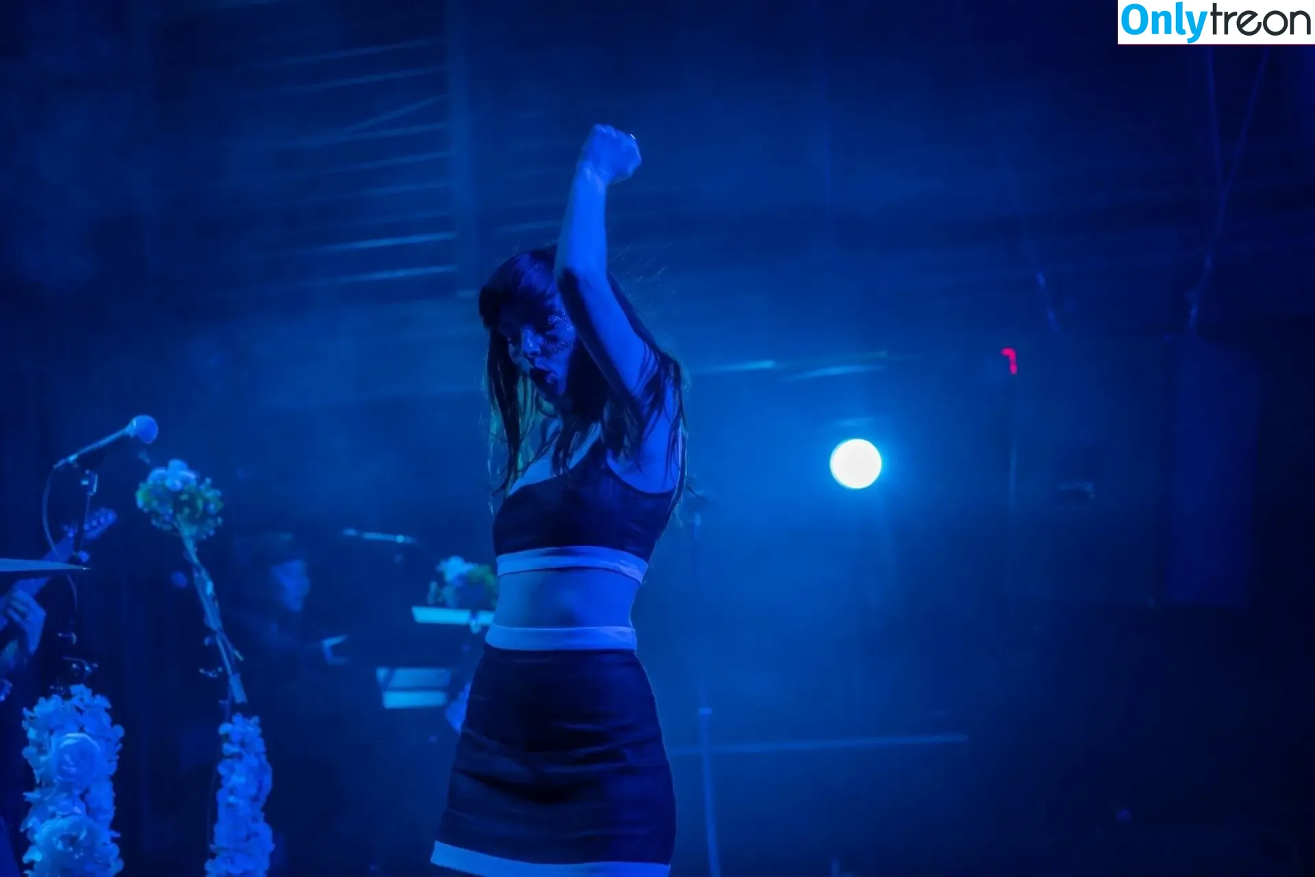 Lauren Mayberry nude photo #0492 (laurenevemayberry)