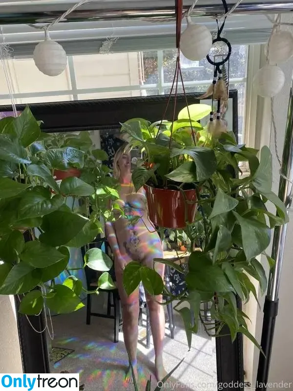 lavenderalienvip nude photo #0028 (jaytatum0)