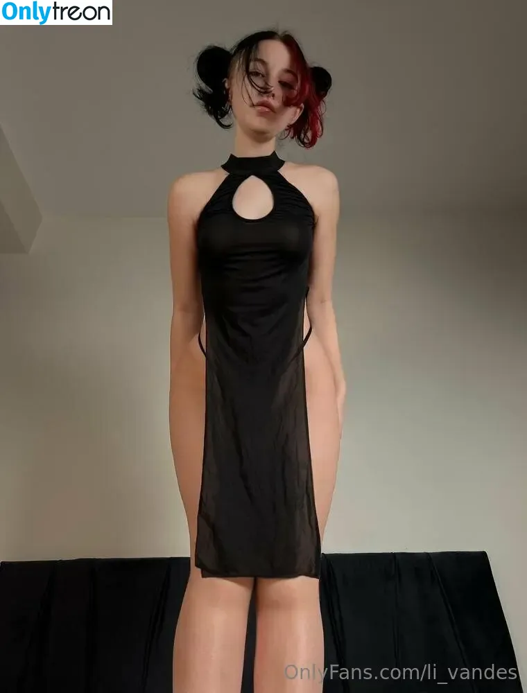 li_vandes nude photo #0048 (li_vandes)