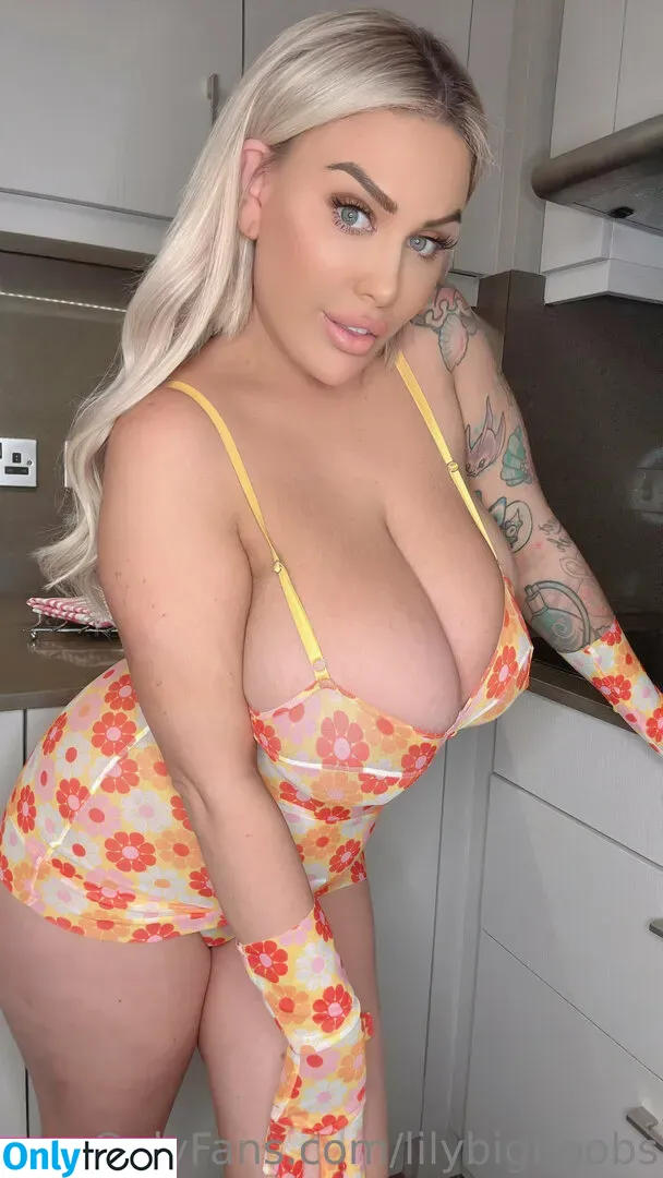 lilybigboobs nude photo #0209 (lilybigboobs)