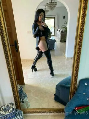 lilyuw88 / ts_lilyuw88 nude photo #0189