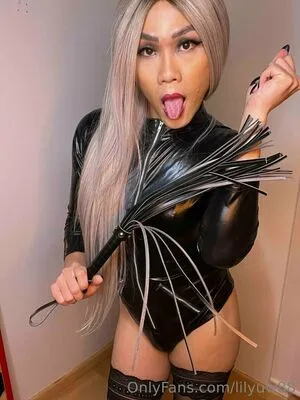 lilyuw88 / ts_lilyuw88 nude photo #0313