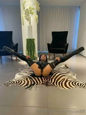 lilyuw88 / ts_lilyuw88 nude photo #0361