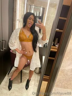 lilyuw88 / ts_lilyuw88 nude photo #0424
