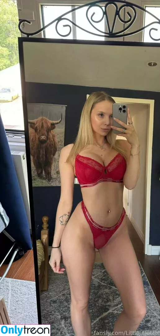 Little_dutch nude photo #0095 (littleamberxx)