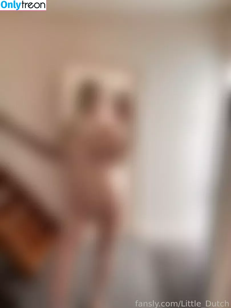 Little_dutch nude photo #0153 (littleamberxx)