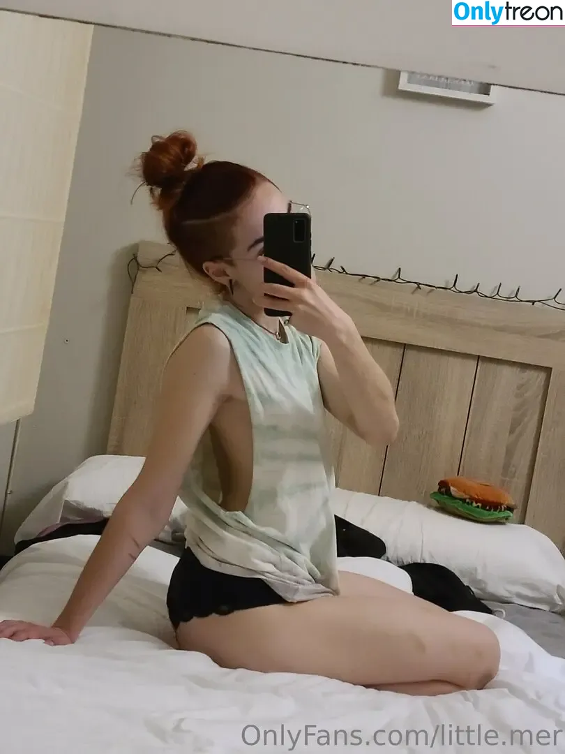 little.mer nude photo #0007 (disneylittlemermaid)