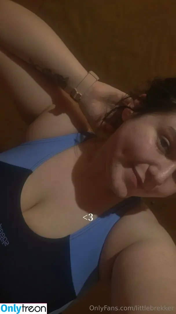 littlebrekker nude photo #0087 (littleburger)